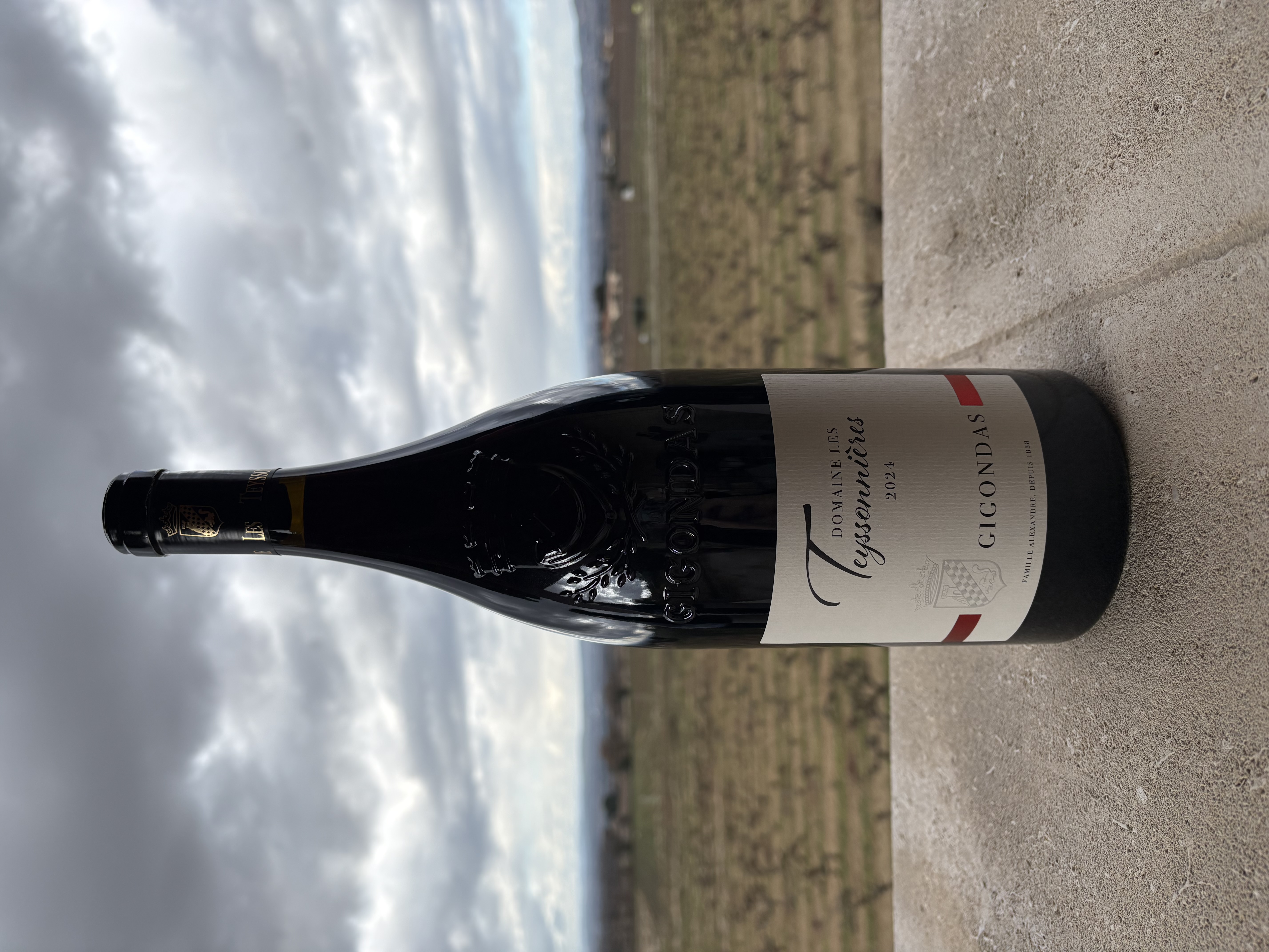 magnum-gigondas-vin-de-garde-domaine-les-teyssonnieres
