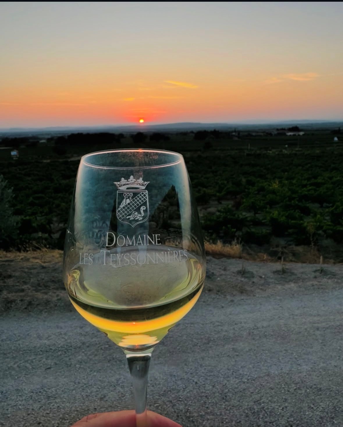 bouteille-gigondas-blanc-verre-terrasse.jpg