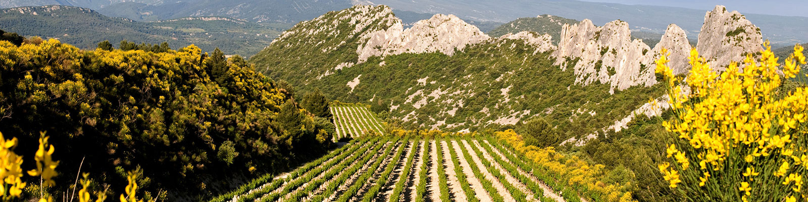 dentelles_de_montmirail_gigondas
