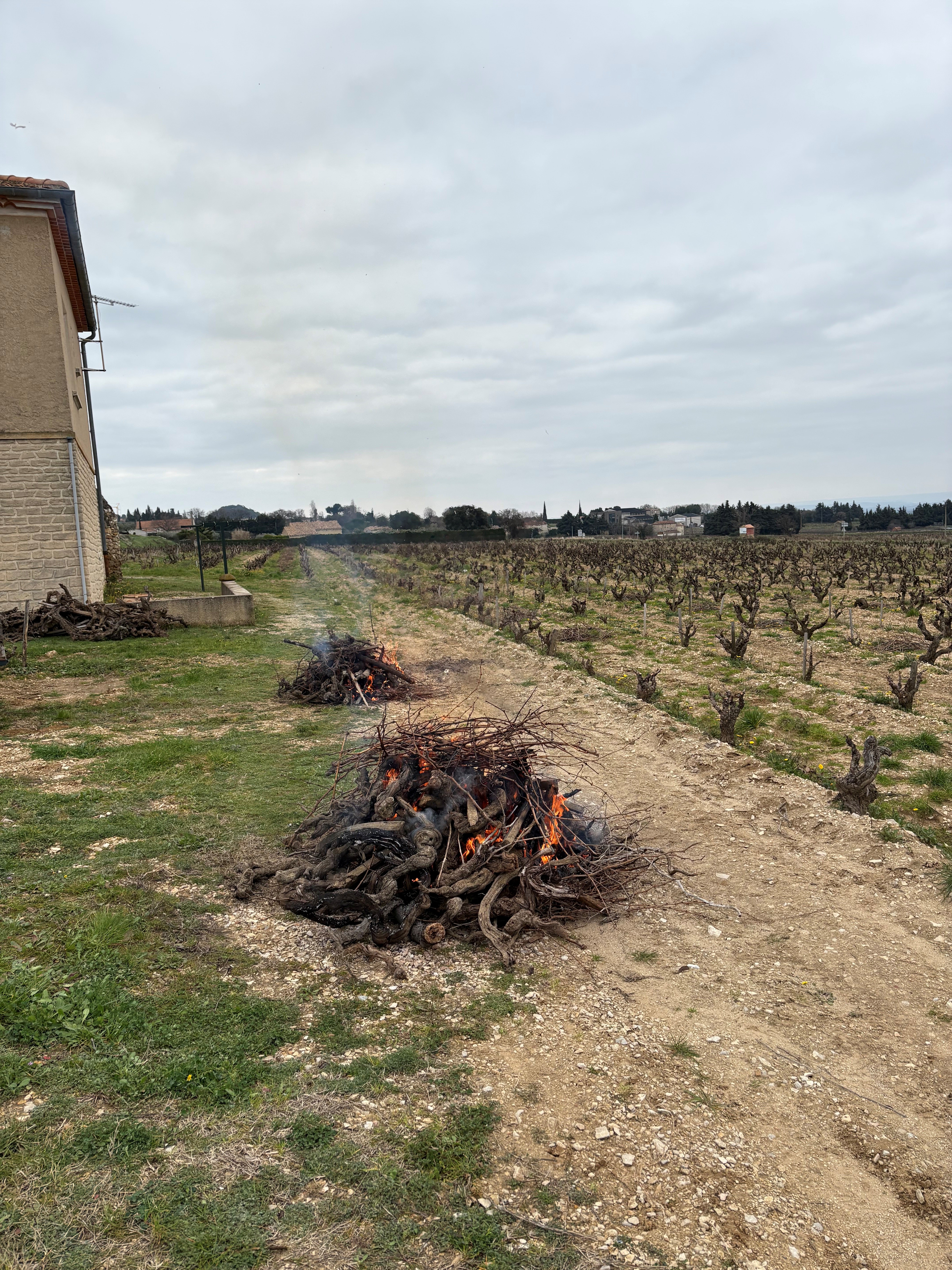le brulage aux Teyssonni&egrave;res, un geste de pr&eacute;cision pour assurer la qualit&eacute; du futur mill&eacute;sime.