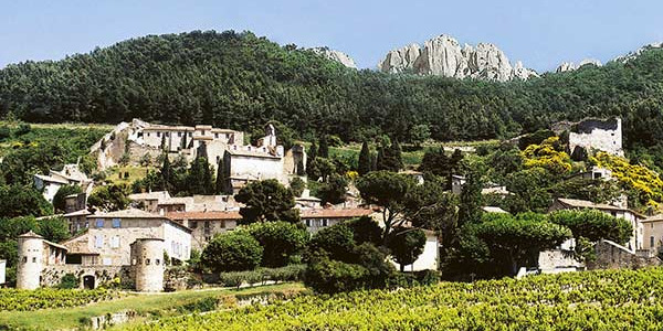 Visiting Gigondas: 5 Essential Steps Between Nature and Terroir