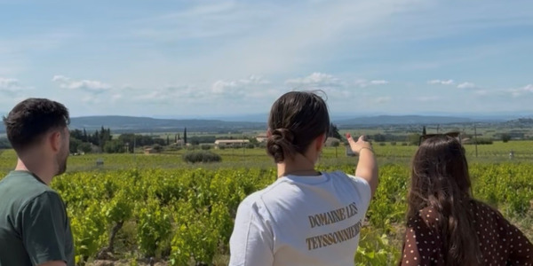 Visite du domaine – vignes, chai et dégustation