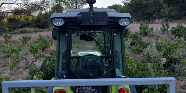 Autumn Colors in Gigondas: Behind the Scenes in the Vineyards at Les Teyssonnières