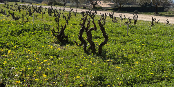 Du bilan de l'hiver au réveil printanier